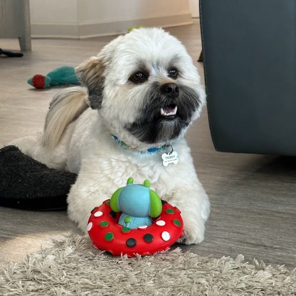 Meet your Posher, Katherine - Picture 12 of 15